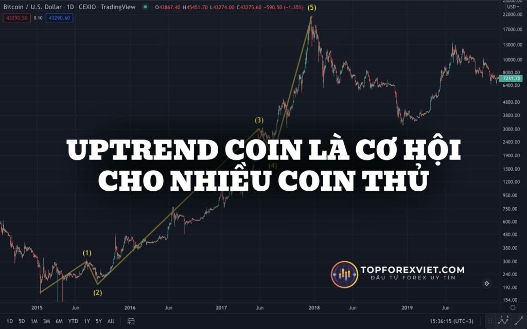 uptrend coin mang đến nhiều cơ hội mới