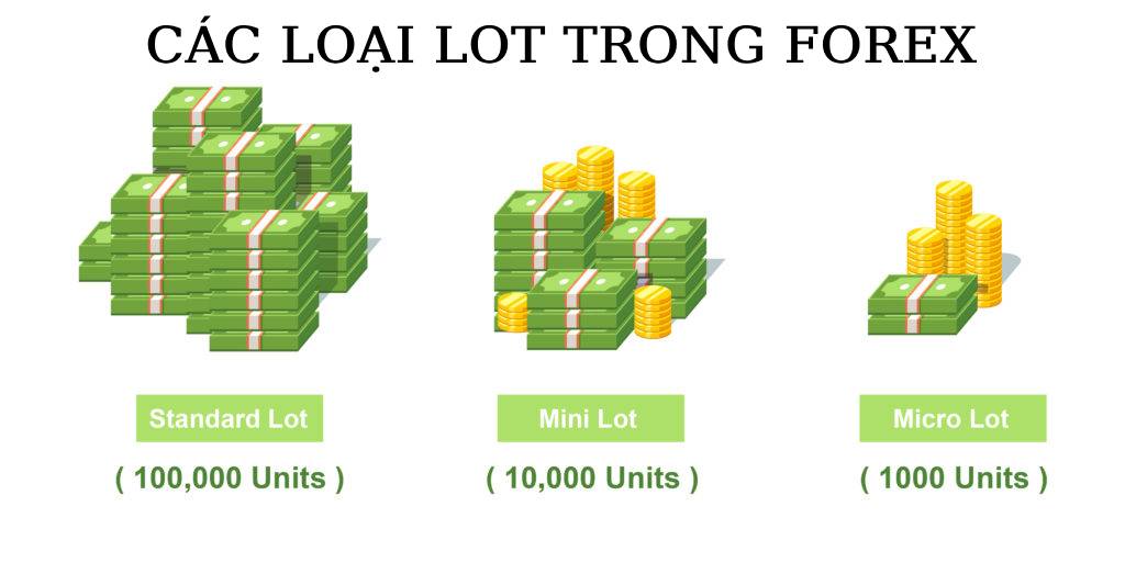 các loại lot trong forex