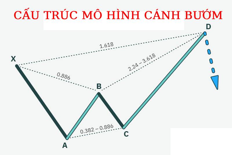 cấu trúc mô hình cánh bướm