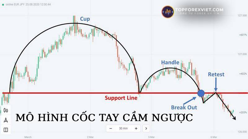 mô hình cốc tay cầm ngược