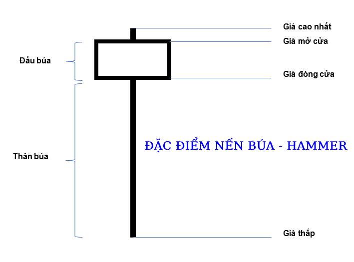 đặc điểm nhận dạng của nến búa