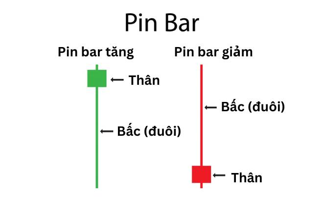 đặc điểm nến pin bar