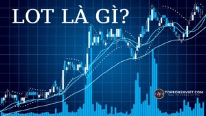 Lot là gì trong Forex? Hướng dẫn từ A-Z cho người mới bắt đầu