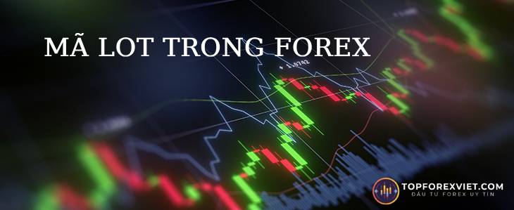 Mã Lot trong Forex