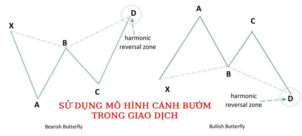 Mô hình cánh bướm