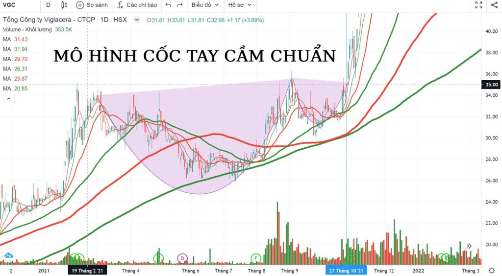 Mô hình cốc tay cầm chuẩn