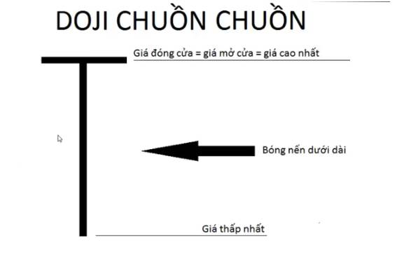 đặc điểm của nến chuồn chuồn