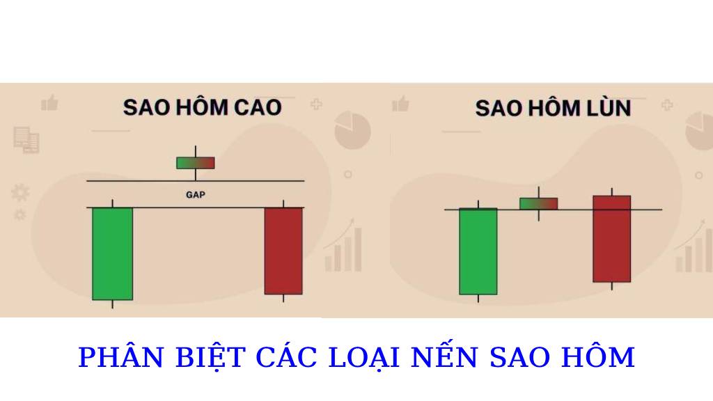 Nến sao hôm có nhiều hình thái