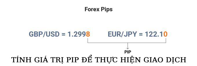 Pip là gì